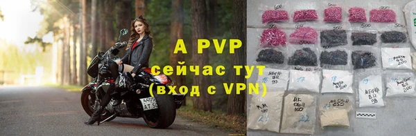 дмт Пестово