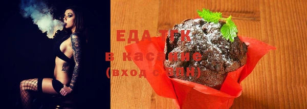 индика Пересвет