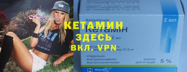 индика Пересвет