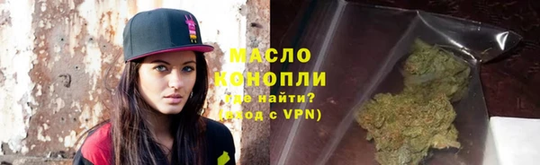 индика Пересвет
