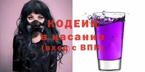 индика Пересвет