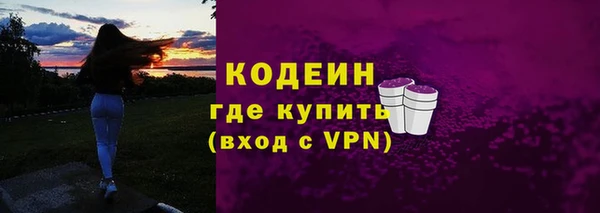 индика Пересвет