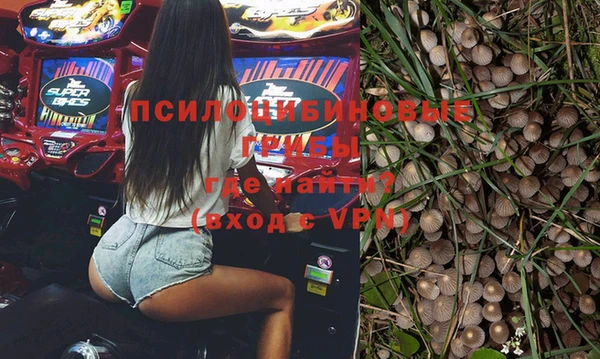 индика Пересвет