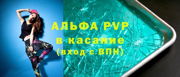 индика Пересвет