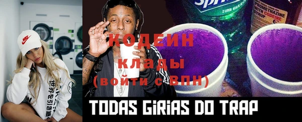 индика Пересвет