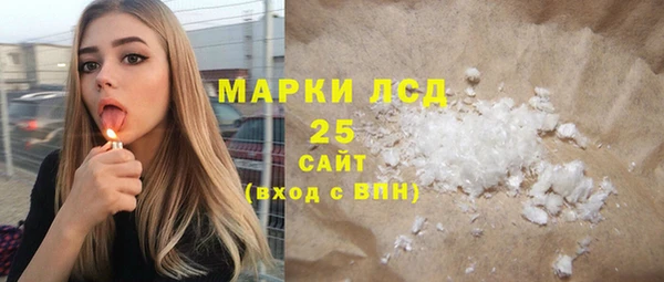 индика Пересвет